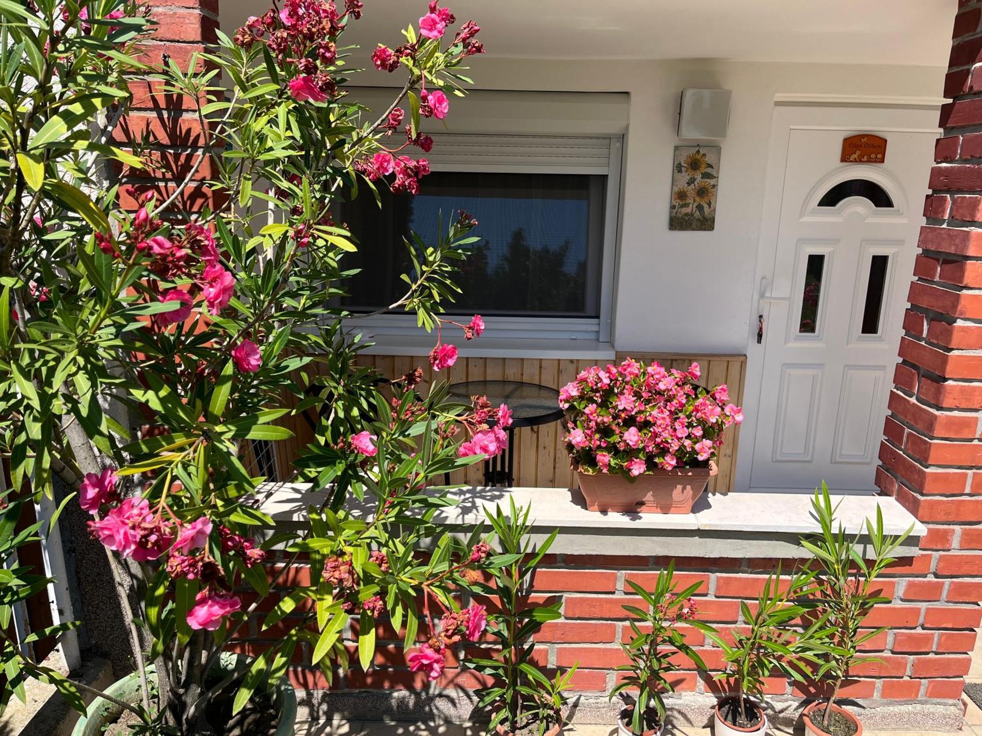 Ferienhaus Edes Otthon Balatonfüred